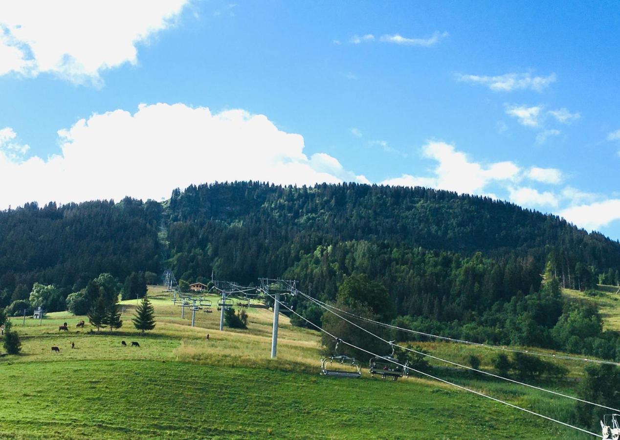 Le Nantoran Appartement Praz-sur-Arly Buitenkant foto
